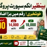 BISP Stipend Increased from Rs. 14,000 to Rs. 18,000