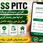 CSS PITC Cross Subsidy Program 2026